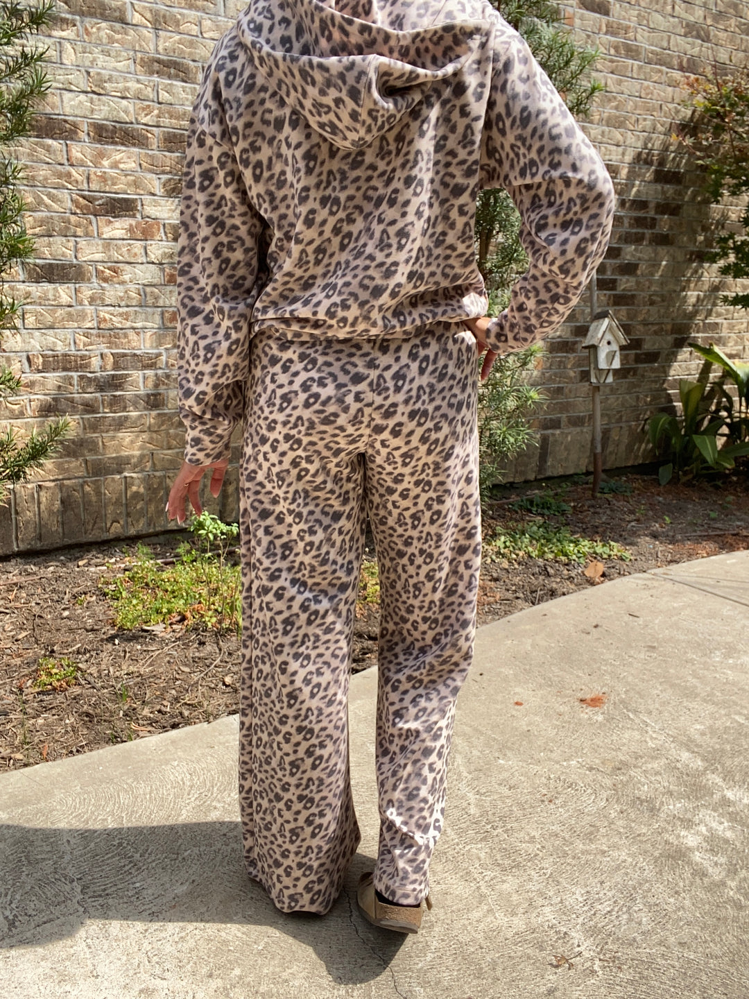 Cloud Wide Leg Pant- Leopard