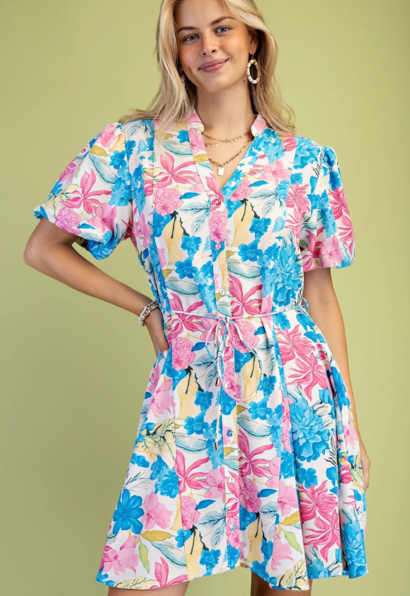 Ani Floral Button Down Dress- Blue Mix L