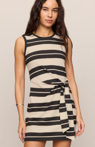 Mattie Striped Mini Dress- Ash Black