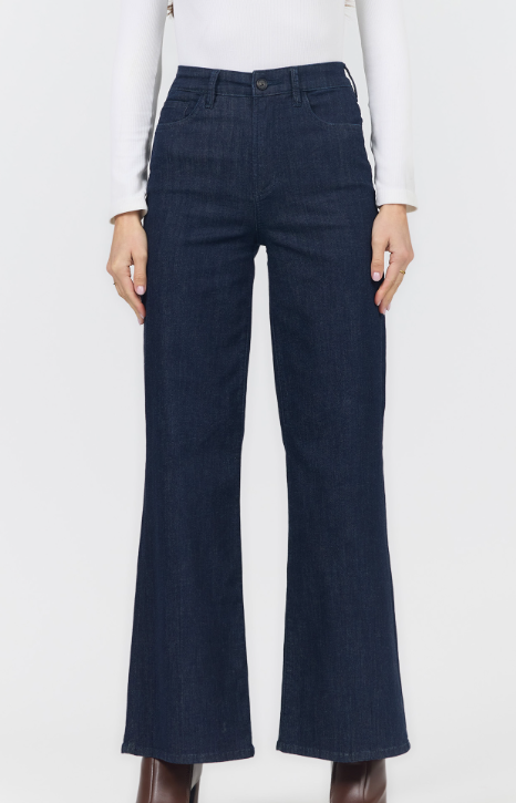 Fiona High-Rise Jean- Zodiac