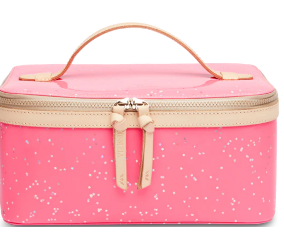 Shine Train Case