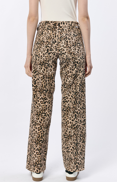 Leopard Safari Taylor Jean