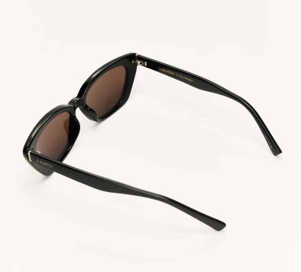 Staycation Polished Black-Brown Polarized