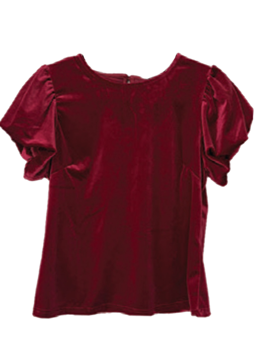 Vanessia Crew Neck Puff Sleeve Top- Apple Blush
