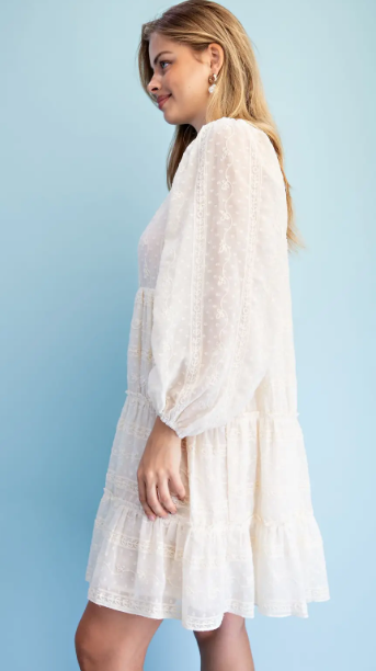 Marcia V-Neck Emb. Dot Dress- Natural