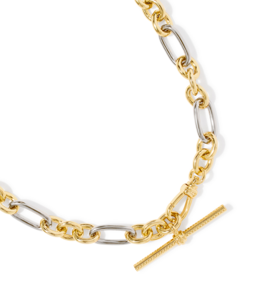 Embry Link &amp; Chain Necklace Mixed Metal