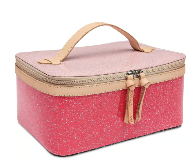 Bae Train Case