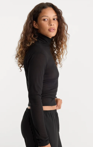 The Sheer Rib Turtleneck- Black