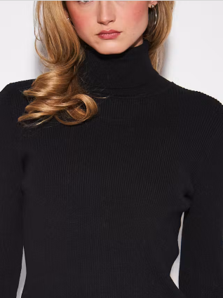 Eleanor Turtle Neck Top- Caviar
